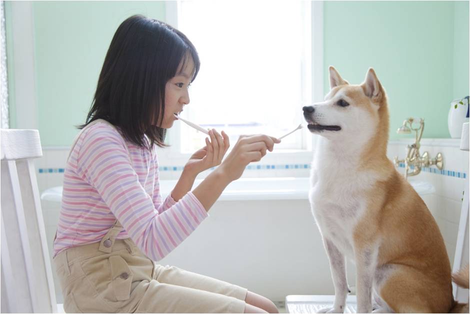 DIY Crema dental para perros